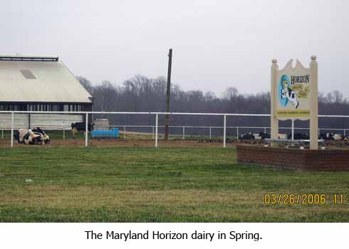  Spring at Horizon Maryland dairy