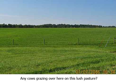 no cows on this lush pasture