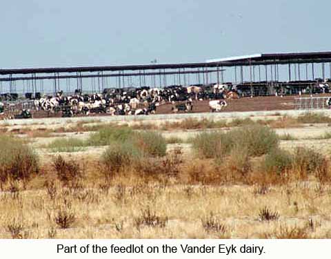 Part of the feedlot