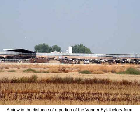 View of the Vander Eyk, Jr. dairy
