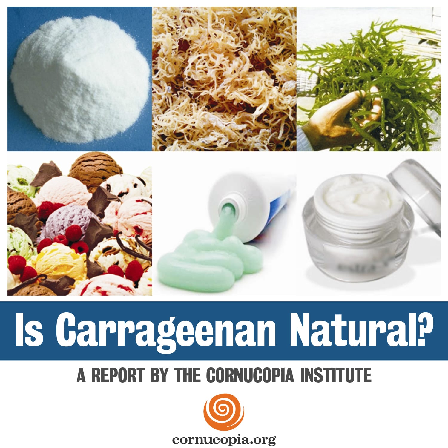 Is Carrageenan Natural? - Cornucopia Institute