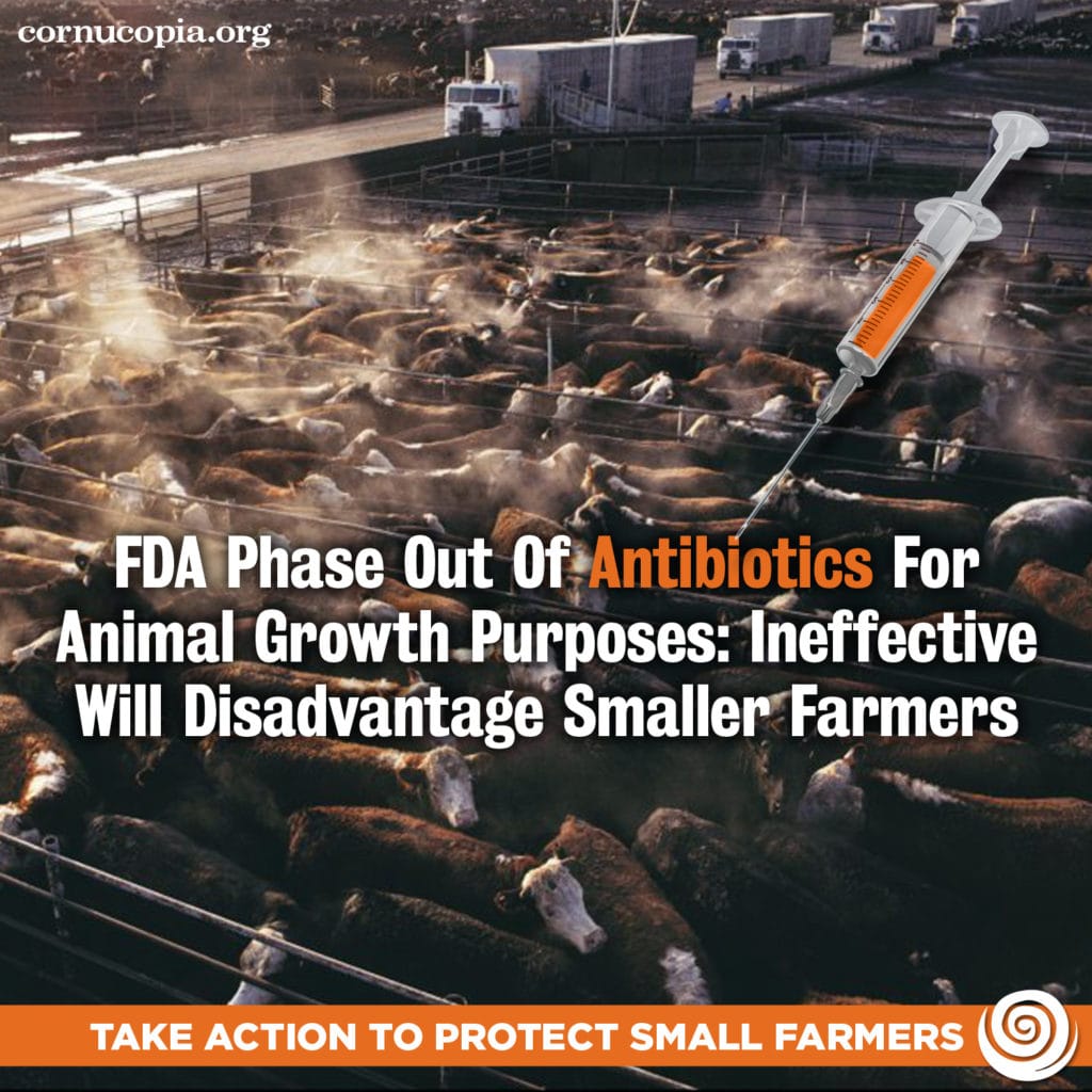 Subterfuge: Fda’s Phase Out Of Antibiotics For Animal Growth Purposes 