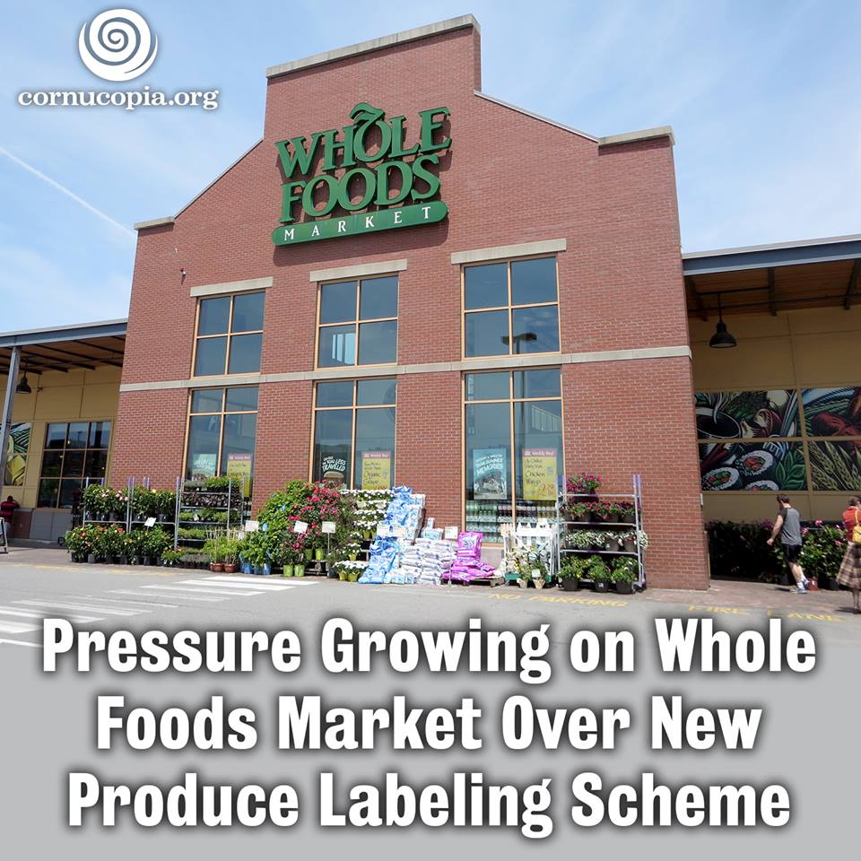 Whole Foods: Creating An Organic Experience - Technology and