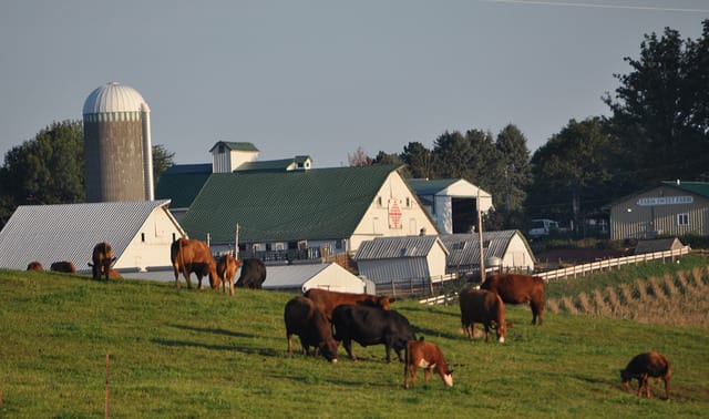 Organic Farms in Iowa Increase as Demand for Specialty Food Grows ...