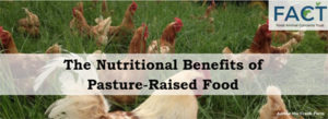 Nutritional Benefits of Pasture-Raised Food - Cornucopia Institute