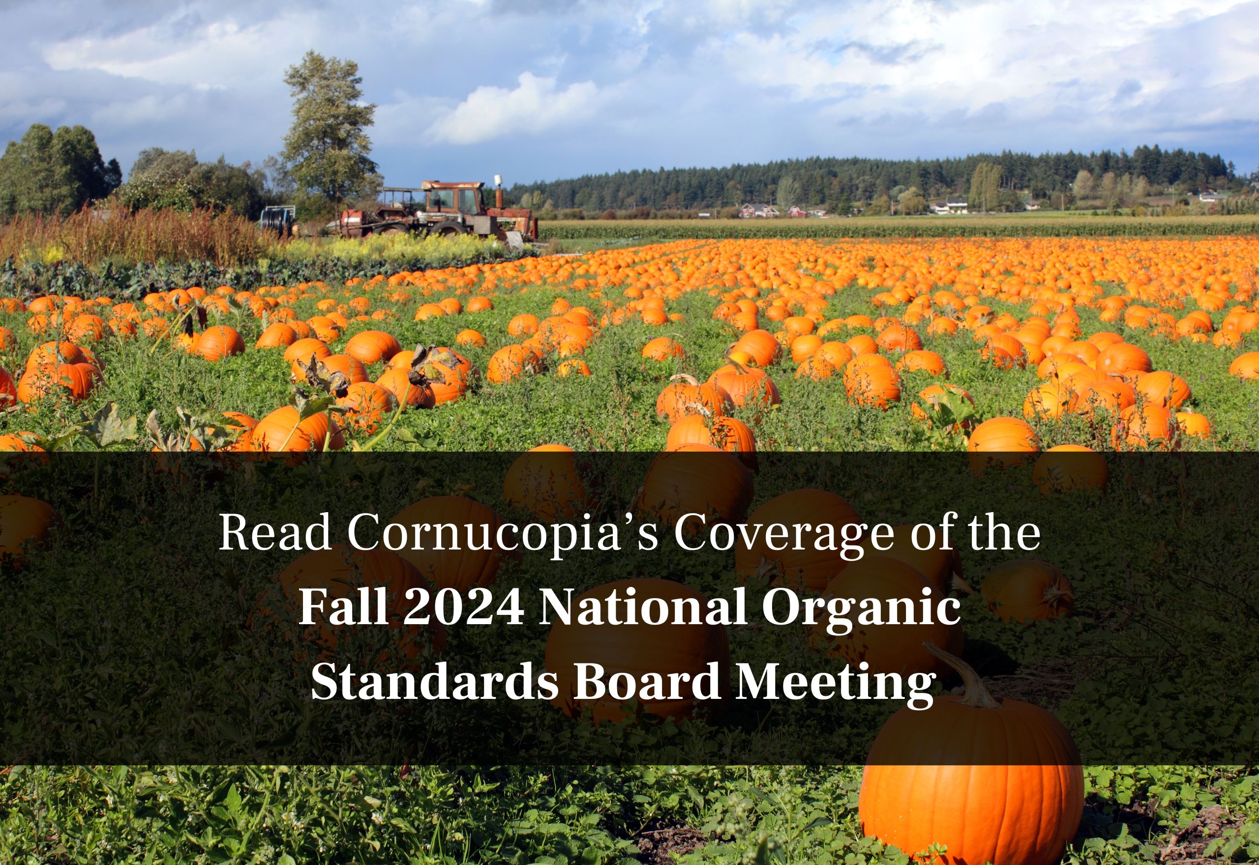 Read Cornucopia’s Coverage of the Fall 2024 National Organic Standards Board Meeting